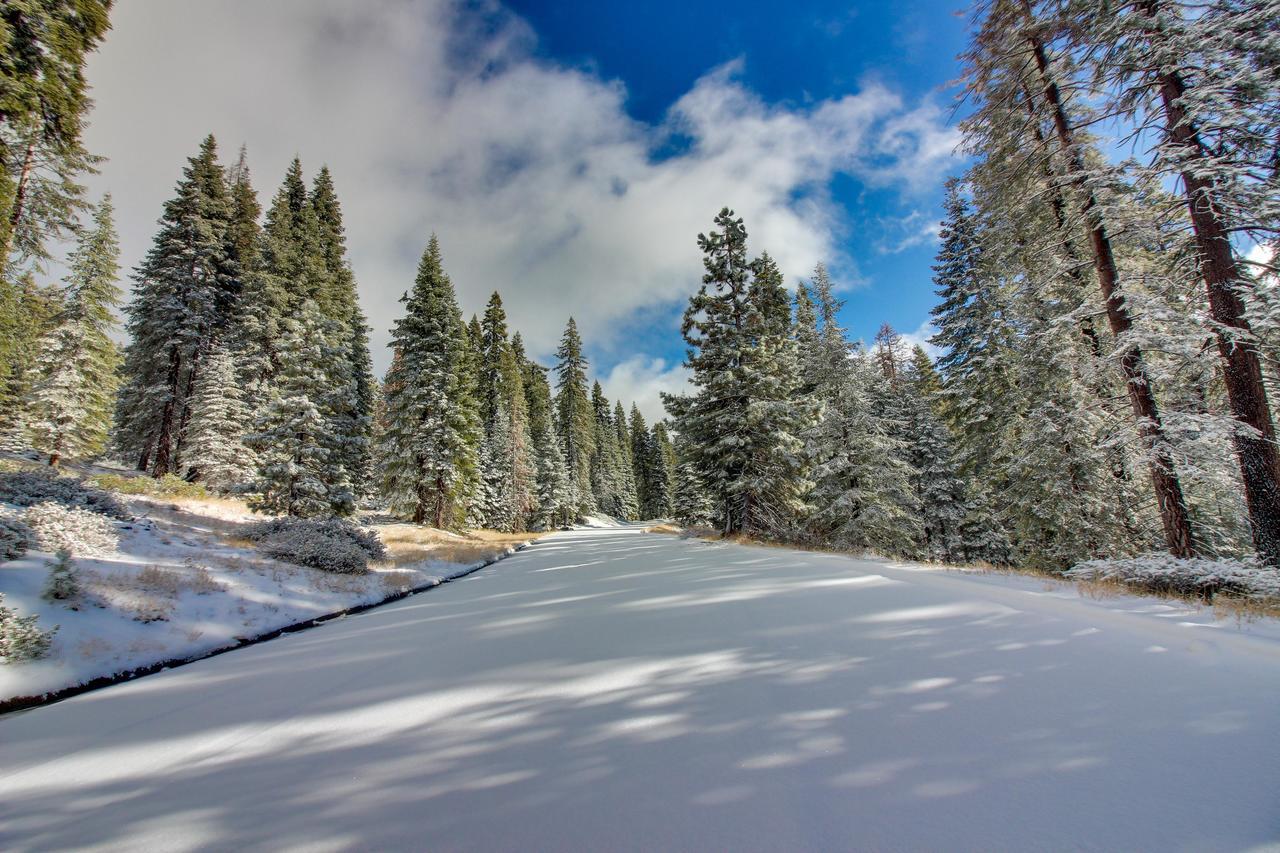 New England Cottage Shaver Lake Εξωτερικό φωτογραφία